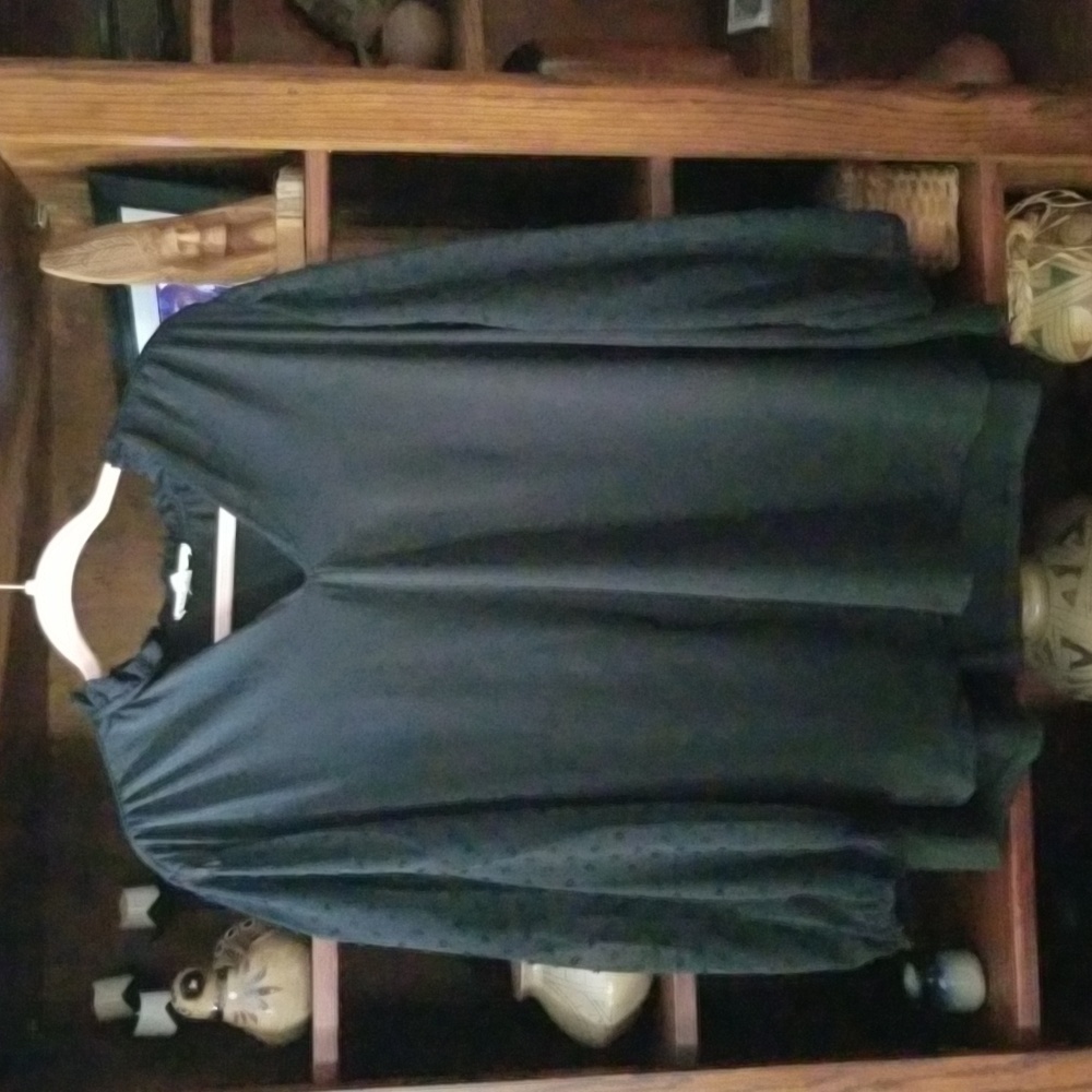 3X Above and Beyond blouse